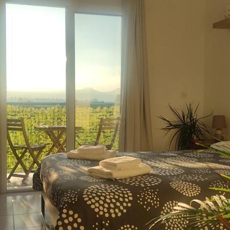 Thalassa Seaside Boutique Beach Apartment Polis Esterno foto