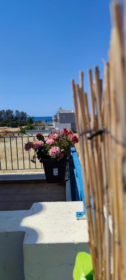 Thalassa Seaside Boutique Beach Apartment Polis Esterno foto