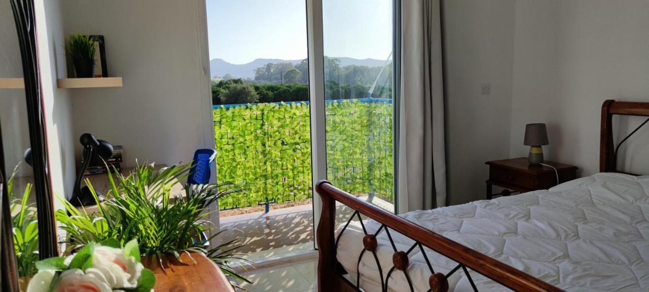 Thalassa Seaside Boutique Beach Apartment Polis Esterno foto